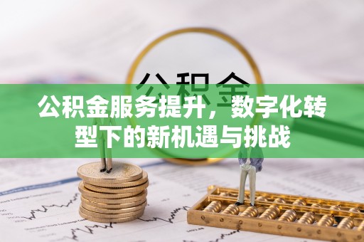 水里公积金服务提升，数字化转型下的新机遇与挑战