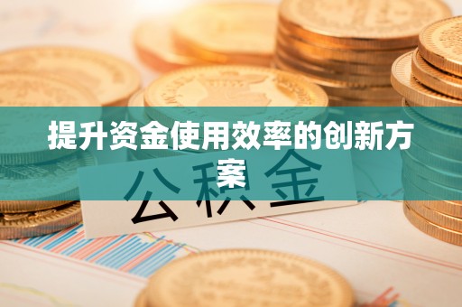水里提升资金使用效率的创新方案