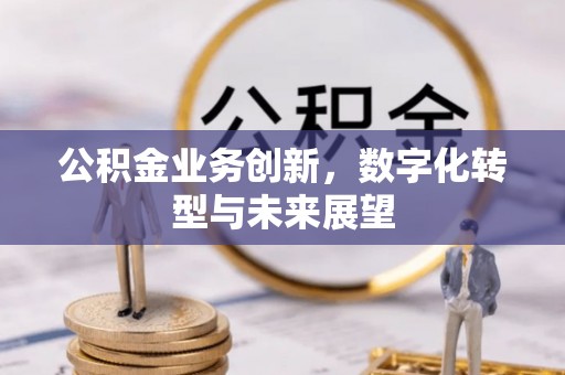 水里公积金业务创新，数字化转型与未来展望