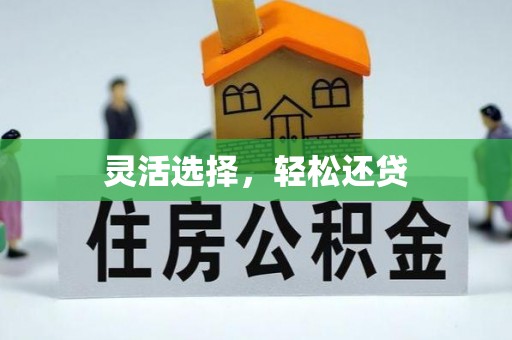 水里灵活选择，轻松还贷