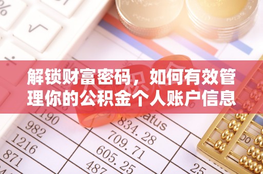 水里解锁财富密码，如何有效管理你的公积金个人账户信息